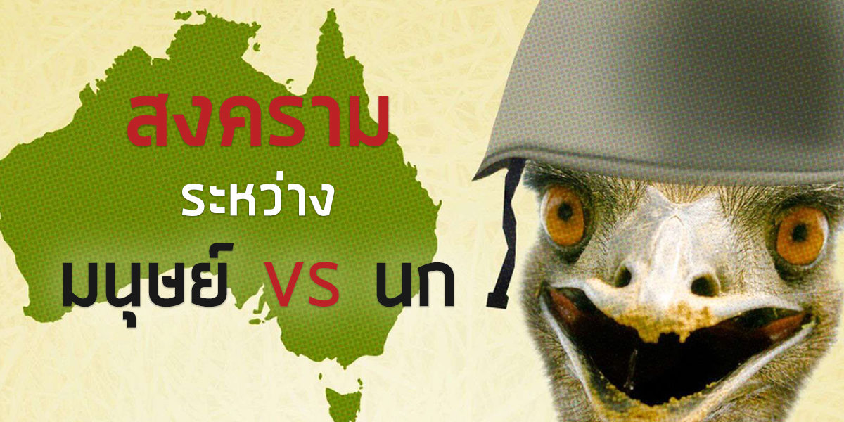 สงครามมนุษย์ vs นก สงครามนกอีมู